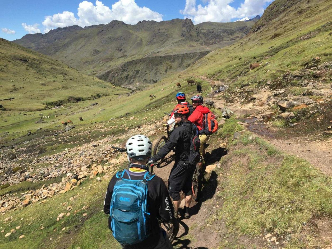 4 people walking their mountain bikes on a narrow rocky mountain path surrounded by grassy hills and alpacas dotting the hillside