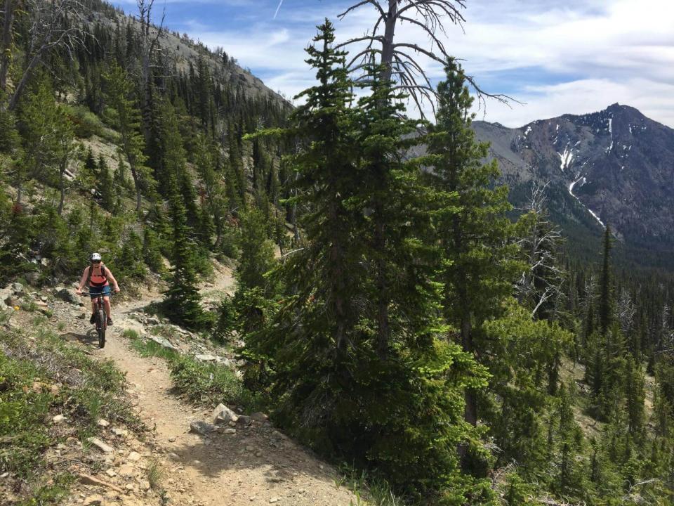 Mountain bikers on the trail in mountains near Seattle