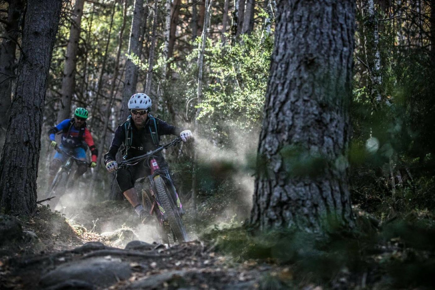 Two mountain bike riders riding through an Alpine forest trail.