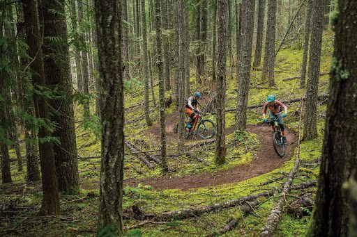 Freeride trails 2025