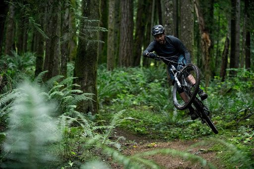 Tiger mountain online bike trails