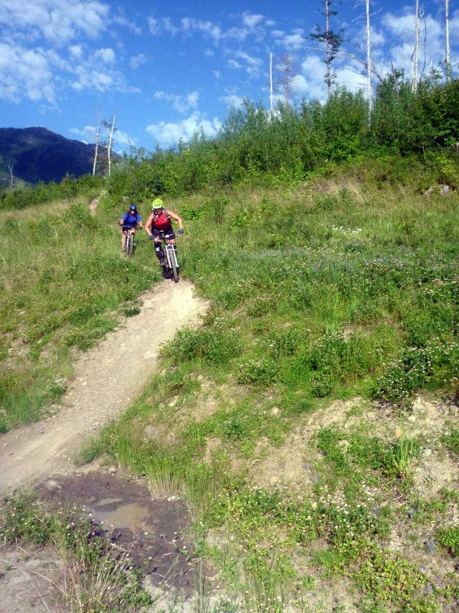 Two people riding mountain bikes down dirt trail on grassy hillside