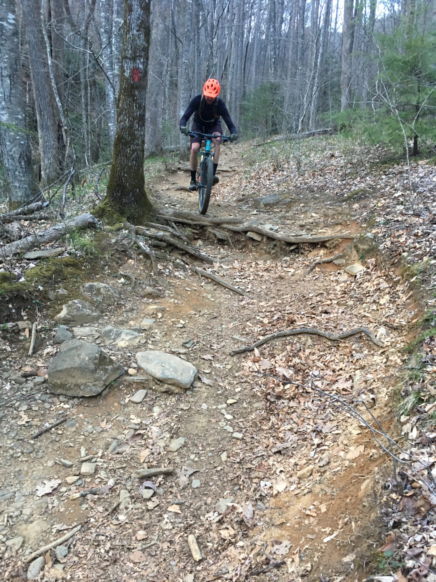 6-Day Mountain Bike Trip in Pisgah, NC/WNC - Sacred Rides