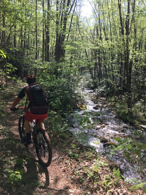 pisgah mountain bike trails