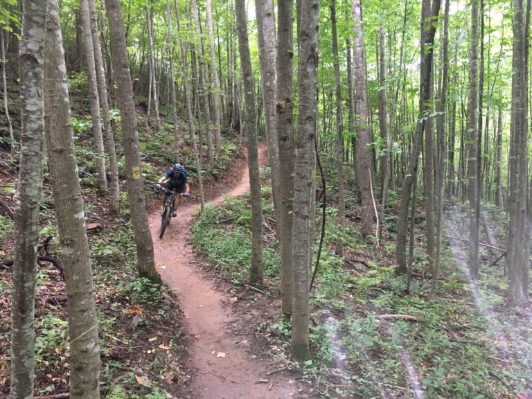 pisgah mountain bike trails