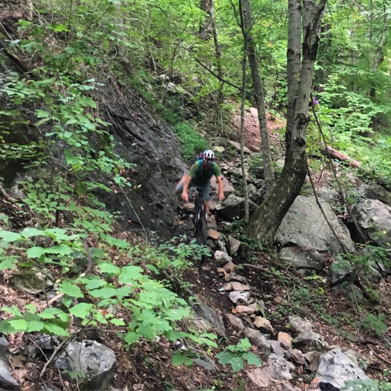 pisgah bike trails