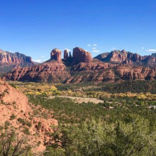 Grassy desert landscape in foreground with red rock peaks in the background under a vibrant blue sky.