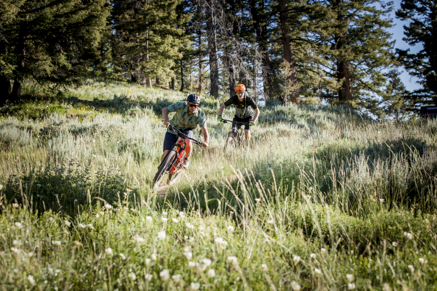 Two mountain bikers riding quickly down trail through grass-covered mountain side