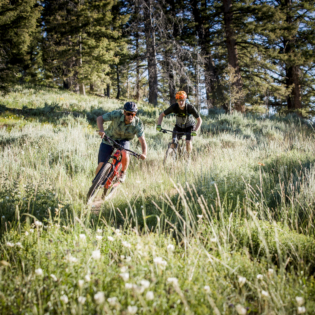 Two mountain bikers riding fast down trail through grass-covered mountain side