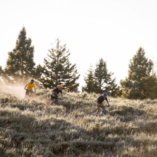 Three mountain bikers racing down grassy mountain hillside in late afternoon