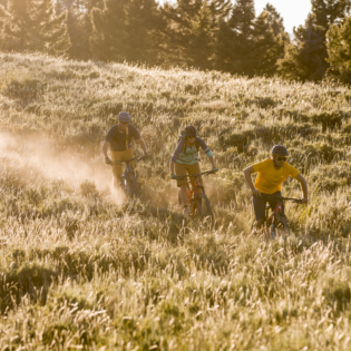 Three mountain bikers racing down grassy hillside with sunset orange glow on landscape