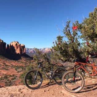 Two mountain bikes parked on red desert gravel. One bike has back wheel resting up in small desert tree
