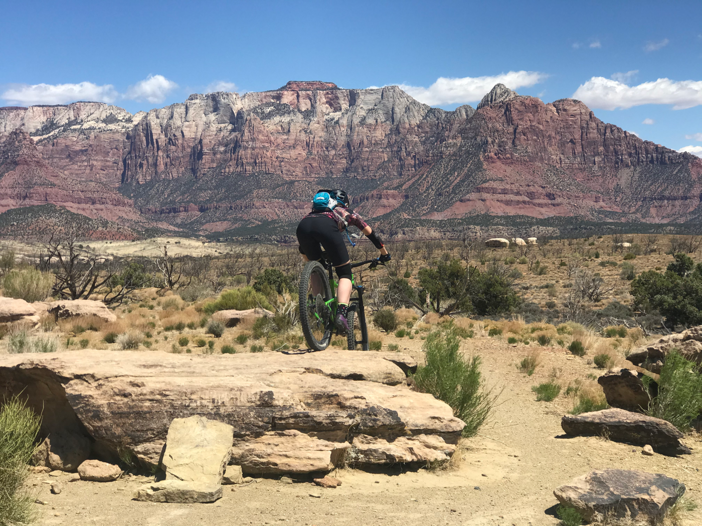 Mountain biking near discount zion