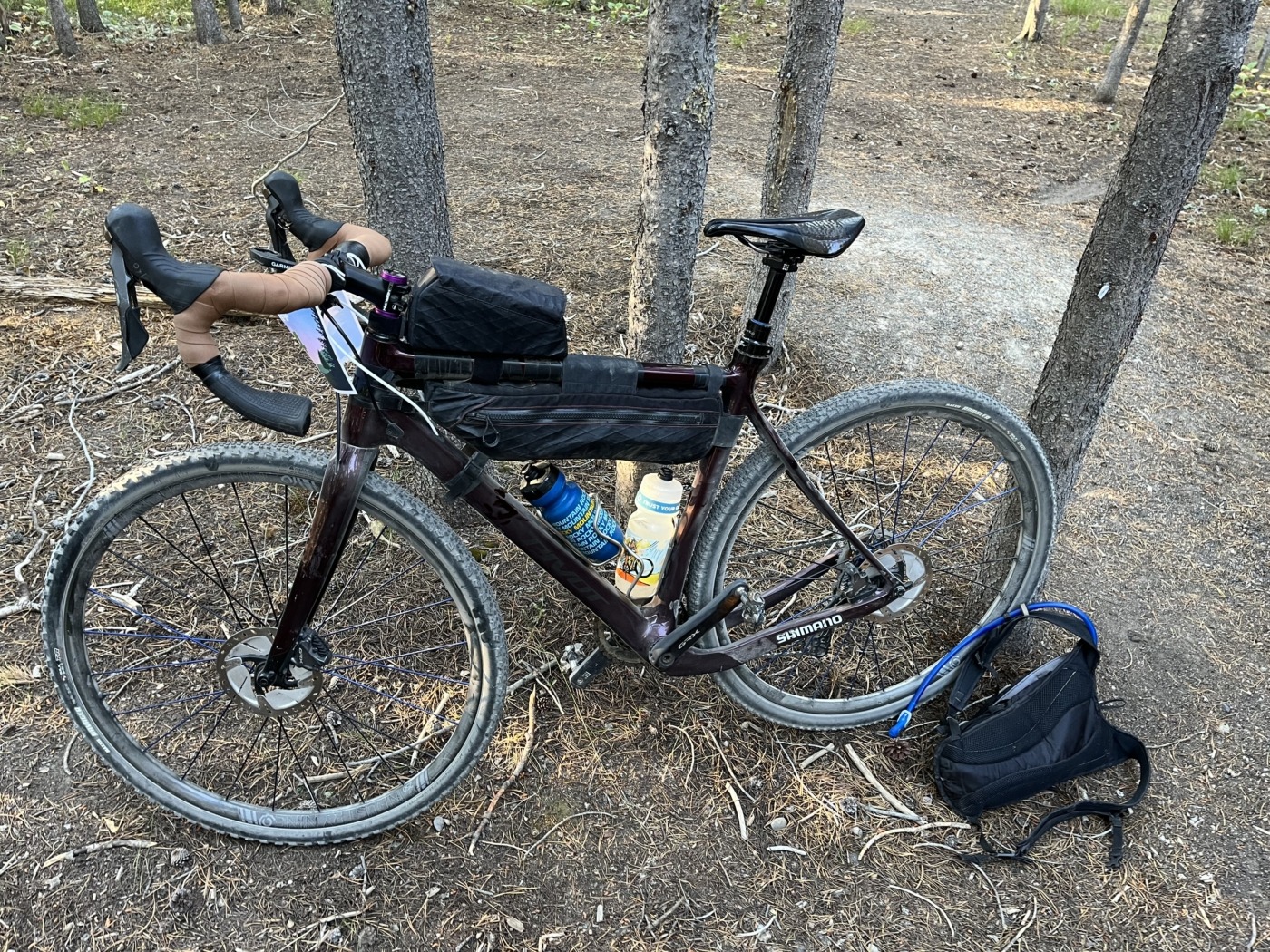 An equipped gravel bike leaning against thin trees.